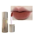 Perfect Liquid Natural Lipstick Lipstick Glossy Lipstick Long Lasting
