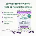 thumbnail image 2 of | Carpet Deodorizer and Refresher Powder | 31 Ounce Pet Odor Eliminator, For Strong Odors and Pet Urine | Fresh Natural Lavender Scent | Safe for Pet Homes, 2 of 4