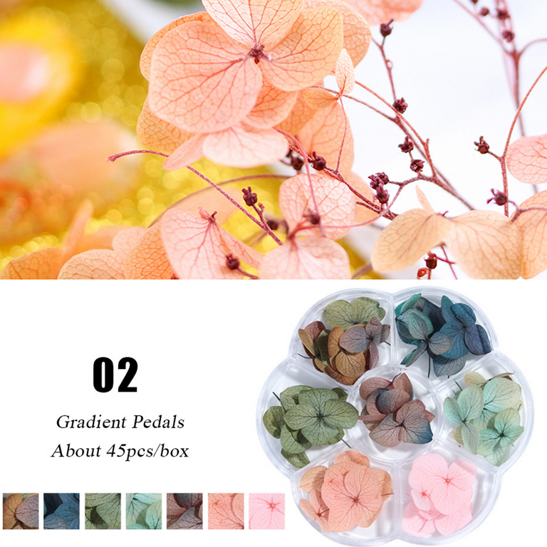 Dried Flowers Nail Art - Nail Art Accessories Kits, Lovely Natural Flower  Nail Art, Dried Flowers for Resin Molds, Dry Flowers for Nails - shape2 