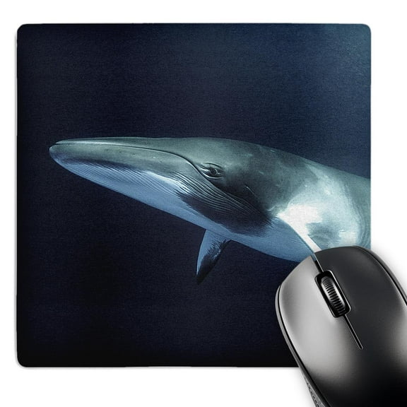 3dRose, Dwarf minke whale doing a belly presentation, MousePad