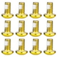 thumbnail image 1 of bedienty 12PCS Colorful Bicycle Disc Brake Rotor Torx Bolts T25 M5x10mm Bike Alloy Steel Disc Brake Rotor Fixing Screws Glod 1Set, 1 of 6