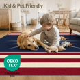thumbnail image 4 of ODIKA 8'x10' Washable Area Rug Patriotic Door Burst Vintage Stripes Independence Welcome July Flowing Dynamic for King Size Bedroom Under Bed, Master Suite, Non-Shedding, Easy Care, 4 of 7