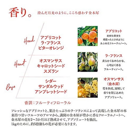 【並行輸入品】[ 1+1 ] 2個セット ロクシタン L'OCCITANE パフュームド ハンドクリーム / ハンドクリーム 30ml 選べる5種類 ネコポス 送料無料