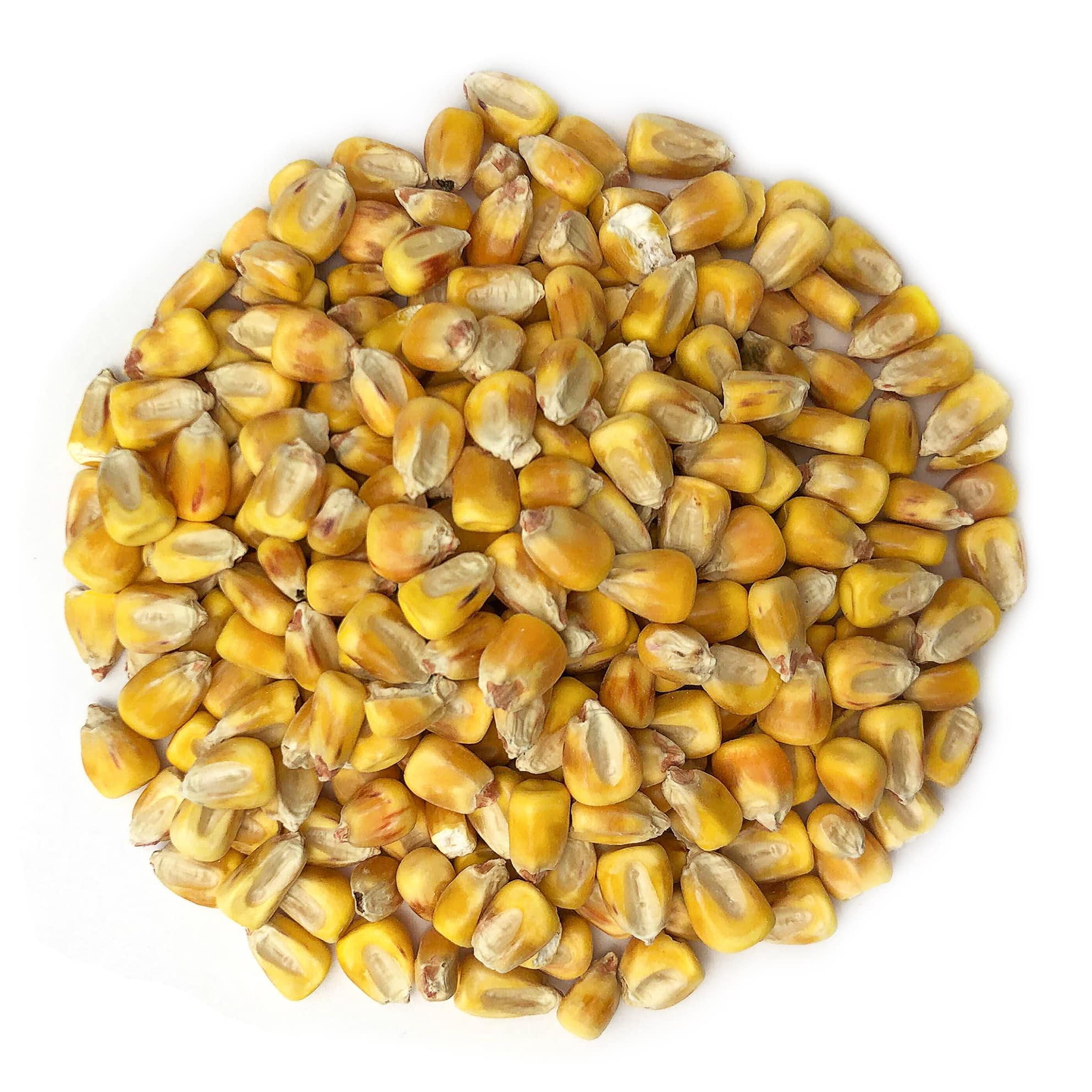 Organic Whole Yellow Corn, 3 Pounds — Non-GMO, Kosher, Raw, Vegan — by Food to Live