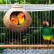 thumbnail image 4 of Minkissy Nido Para Pájaros Con Natural Y, 4 of 6