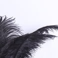 thumbnail image 1 of Plumas Esponjosas Decoración 10 Uds plumas de avestruz esponjosas plumas de fiesta de boda Feather30-35cm (negro) Likrtyny Libre de BPA, 1 of 3