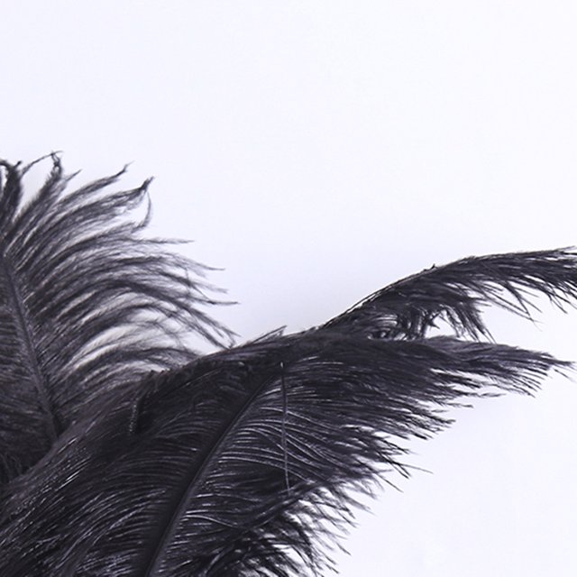 Plumas Esponjosas Decoración 10 Uds plumas de avestruz esponjosas plumas de fiesta de boda Feather30-35cm (negro) Likrtyny Libre de BPA