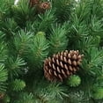 thumbnail image 3 of National Tree Company Pre-Lit Artificial Christmas Wreath, Green, Garwood Spruce, White Lights, Decorated with Pine Cones, Christmas Collection, 60 Inches, 3 of 3