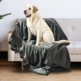 thumbnail image 1 of Water Blanket Dog Blanket Lightweight Water Resistant Coating, 1 of 8