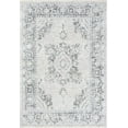 thumbnail image 2 of HR Area Rug Traditional Rug Fossil Vintage Floor Mat Thin and Soft Rug Floral Print Carpet Foldable Accent Rug Dining Room Living Room Faded Rug Bohemian, 7'9" x 9'10", Gray, Bone, Silver, 2 of 6