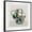 Black Frame, variant on Art.com Picasso Vase II Art Print by Aimee Wilson, 16" x 16"