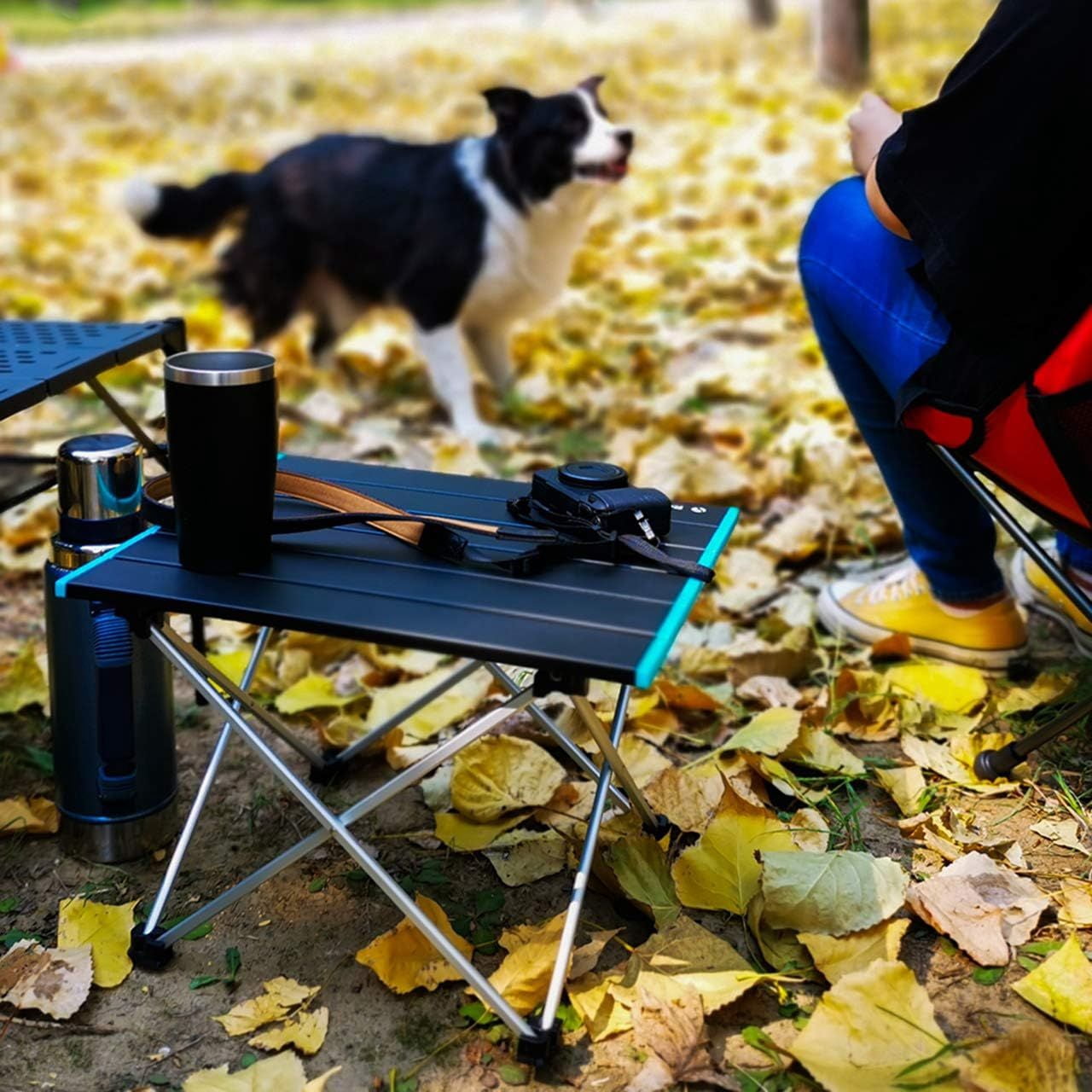 Portable Camping Table Ultralight Aluminum Camp Table with Storage Bag Folding Beach Table for Camping Hiking Backpacking Outdoor Picnic