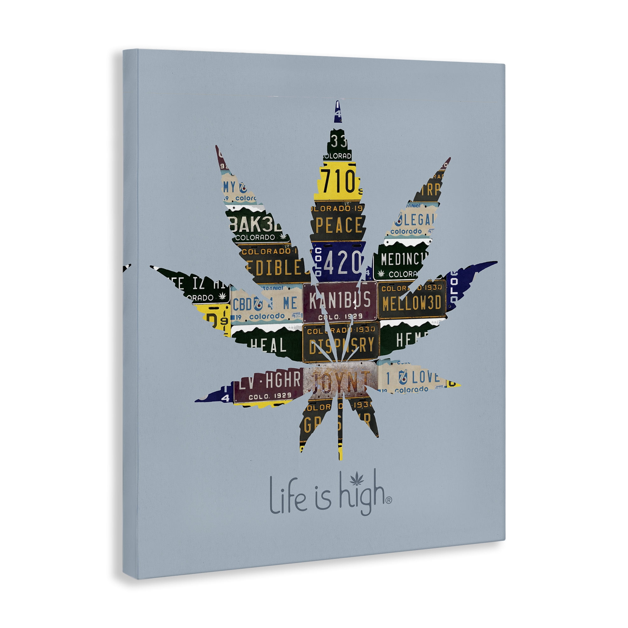Stupell Industries Life Is High with Plant Novelty & Humor Painting Wrapped Canvas Art Print Wall Art, 30 x 40