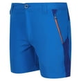 thumbnail image 3 of Regatta Boys/Girls Sorcer Mountain III Shorts, 3 of 5