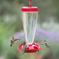 thumbnail image 3 of Perky-Pet Top- Fill Plastic Hummingbird Feeder – 24 oz, 3 of 3