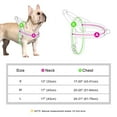 thumbnail image 7 of Didog No Pull Dog Harness with Soft Padded Handle Front Leading Safety Escape Proof Quick Fit Buckle, 7 of 7