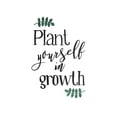 thumbnail image 4 of Mlli Villa 19x24 Black Modern Wood Framed Wall Art Titled - Plant Growth, 4 of 6