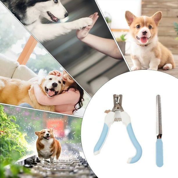 Quick sensing dog nail clippers 2025