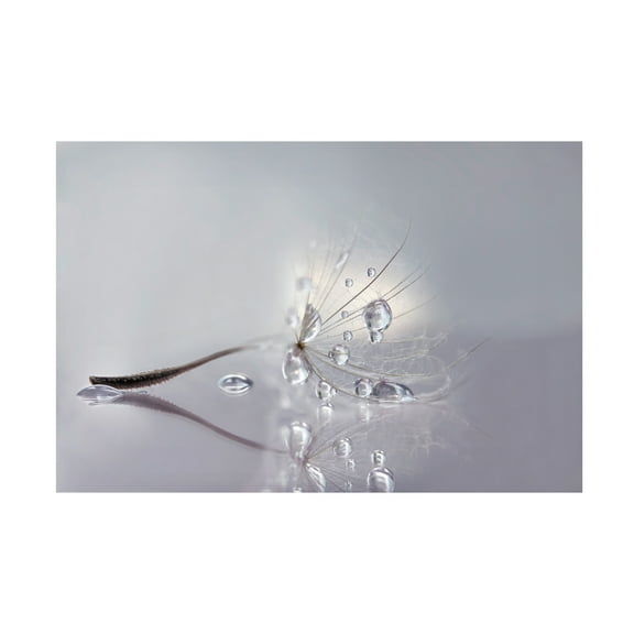 Rina Barbieri 'Silver' Canvas Art