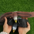 thumbnail image 7 of vlrwzc Simulated Eagle Model Realistic Eagle Figures Wildlife Eagle Statue Bird Figurines Animal Figure Ornament for Home Decor Party Supplies, 7 of 7