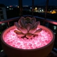 thumbnail image 6 of Glow in the Dark Pebbles Stones 150 Pack for Garden Aquarium Decoration - Luminous Rocks for Walkway Flower Bed Potted Plants DIY Vase Fish Tank Ornament Indoor Outdoor Home Yard Craft Decor, 6 of 6