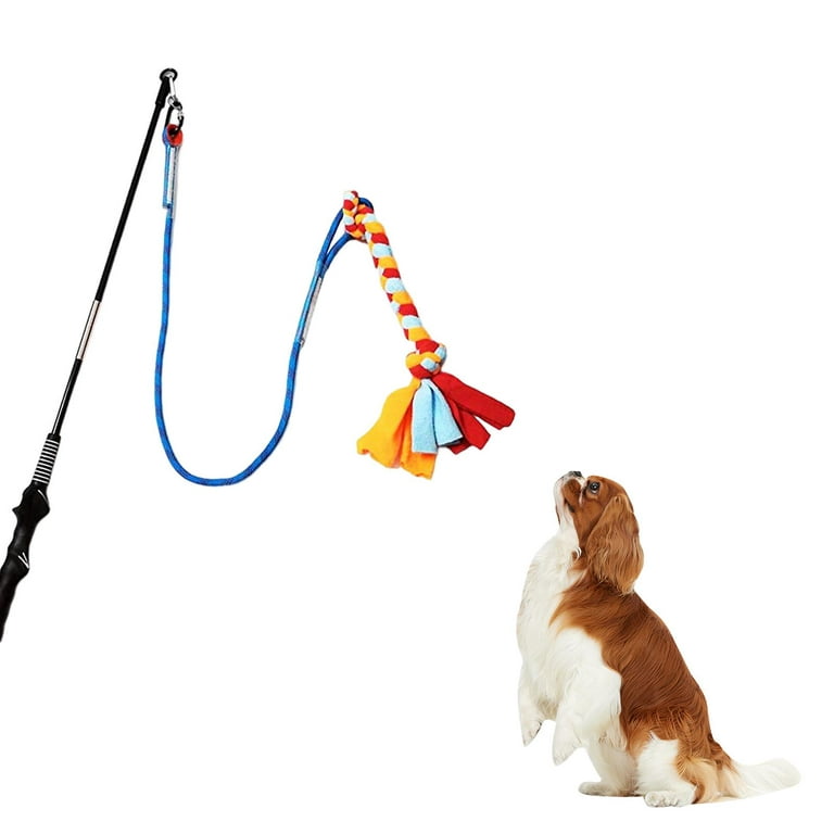 Retractable Dog Stick, Lure Stick Dog Training Dog Pole for Large Dogs  Interactive Retractable Puppy Teaser Wand for Training Chasing
