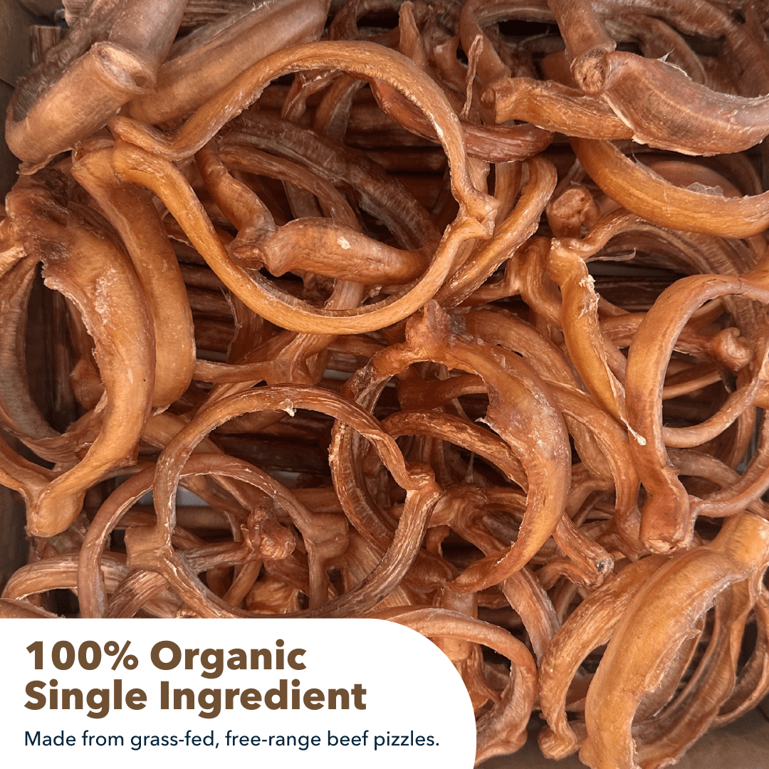 4" Bully Rings Display Box (25 ct) with Individual UPC Tags - 100% All Natural Beef Bully Sticks