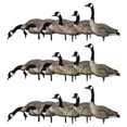 thumbnail image 3 of Avian X AXP Honkers Full Body Realistic Paint Canada Goose Decoys, 18 Pack, 3 of 3