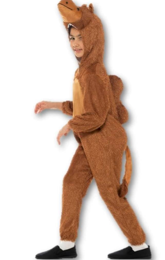 camel costume child
