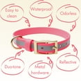 thumbnail image 3 of PawFurEver's Reflective, Waterproof & Odorless Dog Collar, 3 of 5