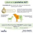 thumbnail image 5 of 2 Pack Fórmula Infantil KABRITA para lactantes Etapa 1, 5 of 5