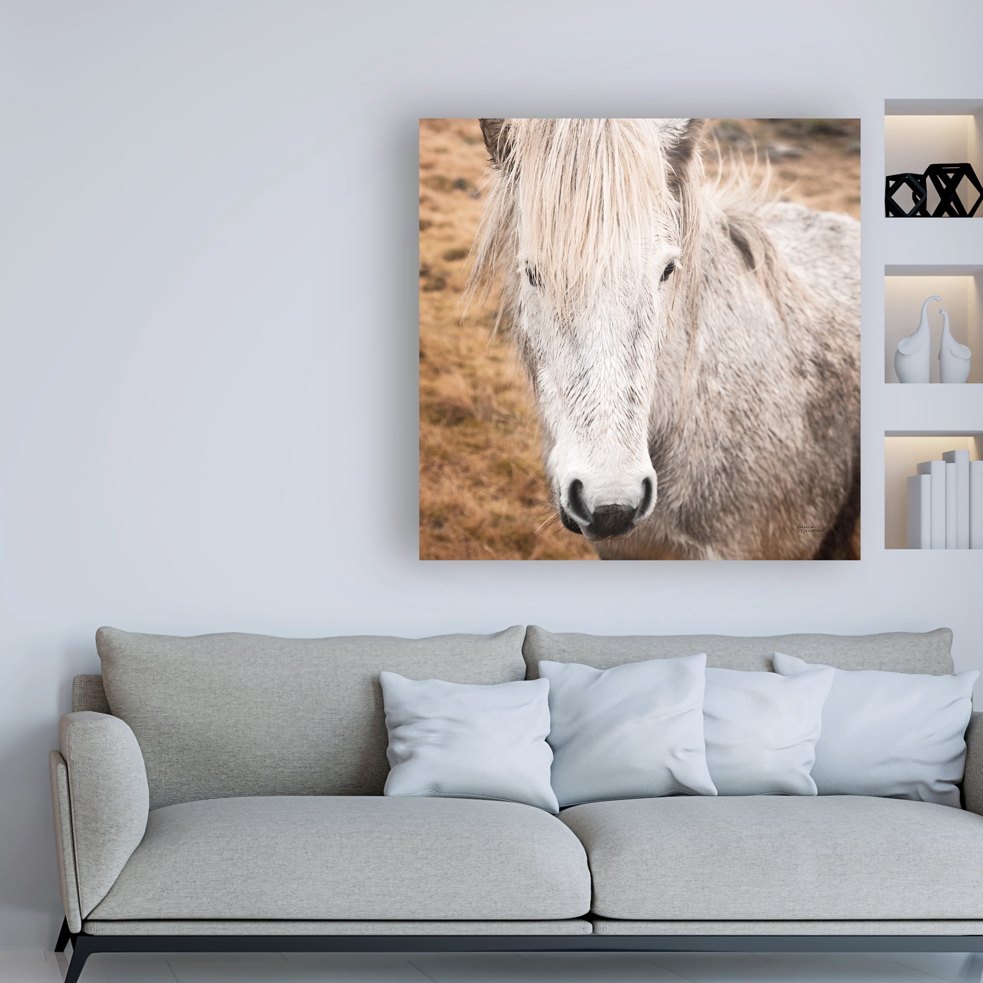 Trademark Fine Art 'Heida IV' Canvas Art by Laura Marshall