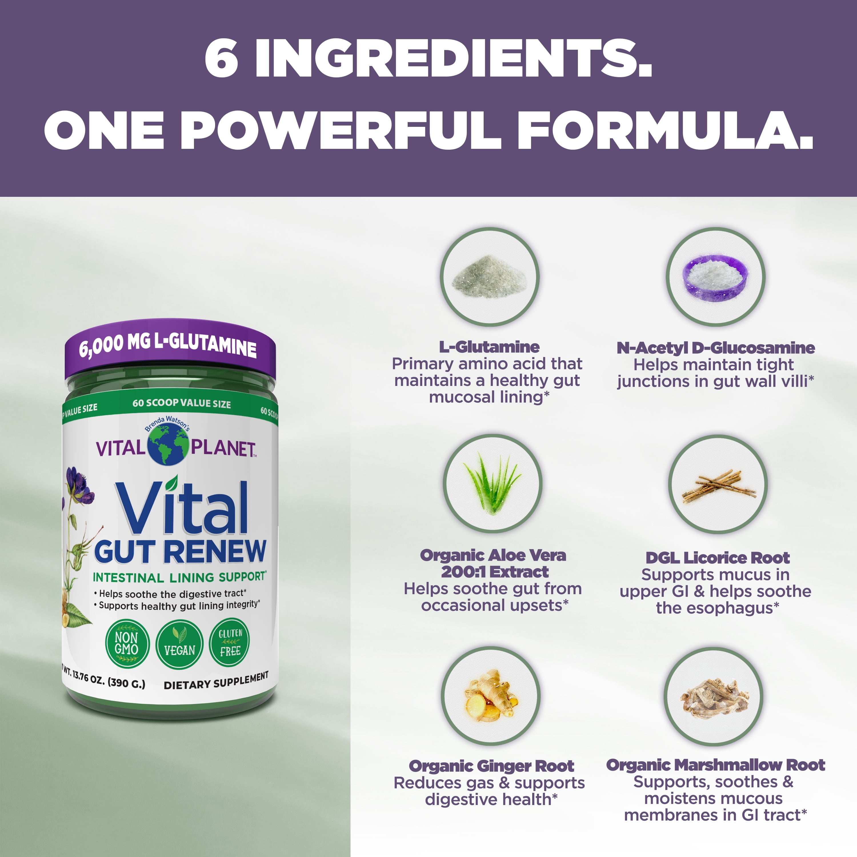 Vital Planet - Vital Gut Renew Powder Supplement for Leaky Gut Repair with L-Glutamine 6000mg 13.76 OZ