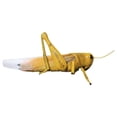 thumbnail image 4 of shamjina Locusts Model Home Decor Detachable Assembly Lightweight Sturdy Learning Toy, 4 of 8