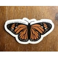 thumbnail image 2 of BUTTERFLY, 2 of 12