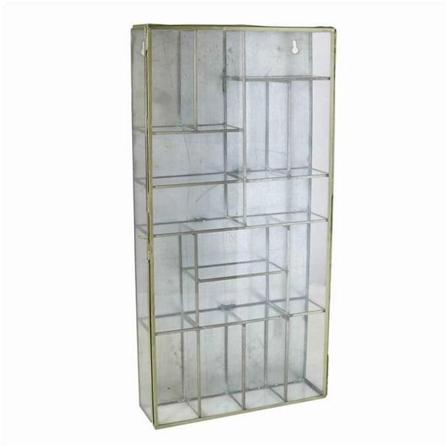 Benjara BM209804 Metal Wall Case with Glass Panel Inserts & Ample Storage, Gold & Clear