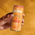 thumbnail image 5 of La Colombe Draft Latte - Cold-pressed Espresso & Frothed Milk + Real Pumpkin - Made With Real Ingredients - Grab & Go Coffee, Pumpkin Spice, 9 Fl Oz Pack of 12, 5 of 6