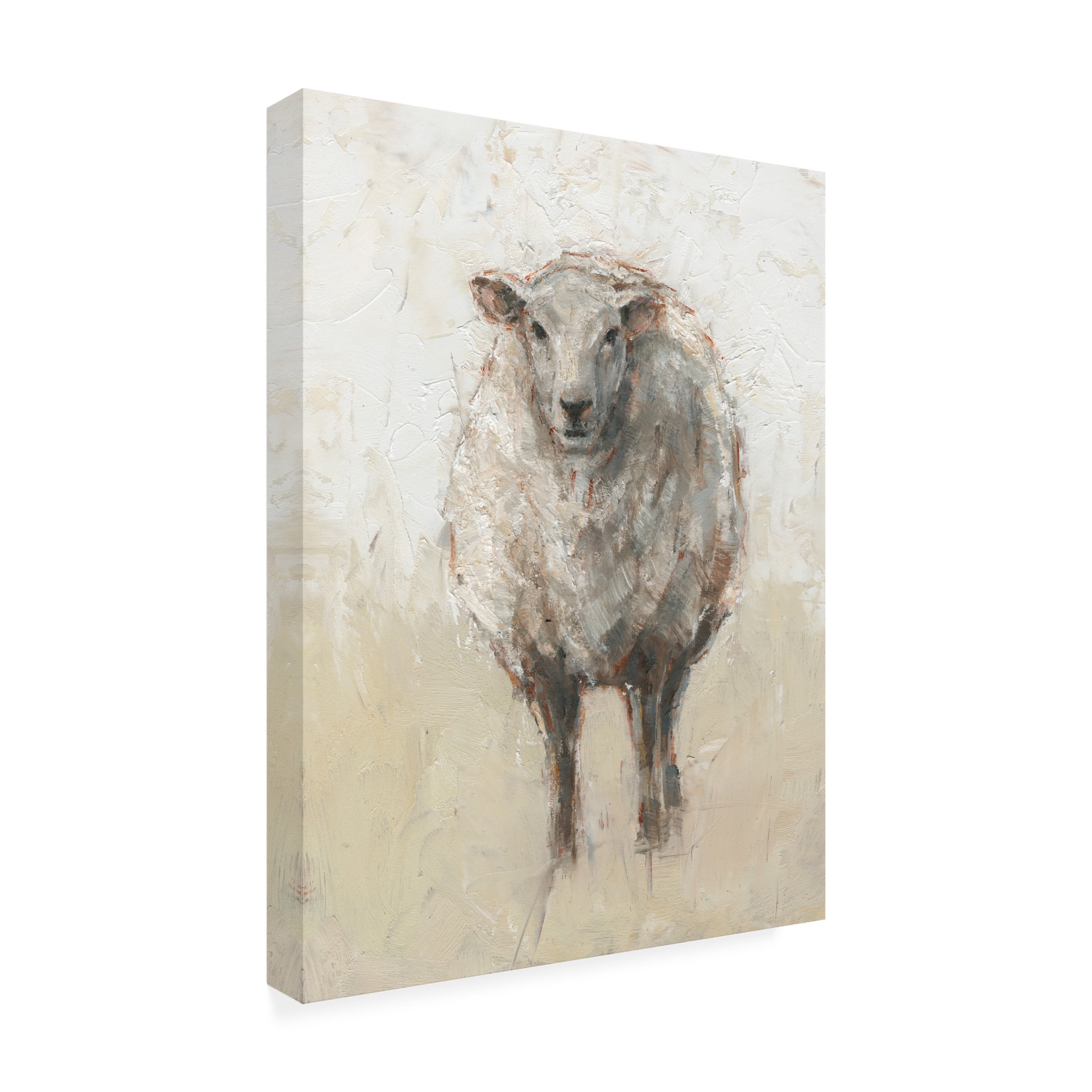 Ethan Harper 'Fluffy Sheep I' Canvas Art