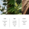 thumbnail image 4 of Set de difusores Reed Clesh con aroma a eucalipto, 200 ml, con barritas, 4 of 7