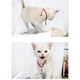 thumbnail image 3 of Etiqueta De Identificación De Mascota Anti-Perdida Antioxidante Etiqueta De Nombre De Dirección De Identificación De Mascota Hecha A Mano Suministros Para Mascotas Para Perros Y Gatos Advancent PT002564-02, 3 of 6