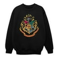 thumbnail image 1 of Harry Potter Girls Hogwarts Crest Gold Ink Sweatshirt, 1 of 4