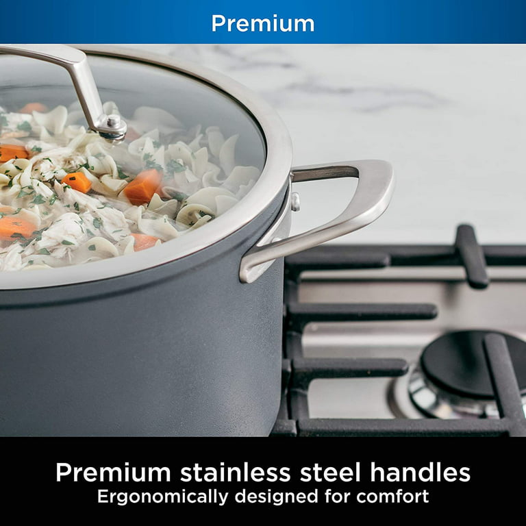 Ninja™ Foodi™ NeverStick® Premium Hard-Anodized 8-Quart Stock Pot with  Glass Lid - C30480