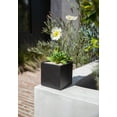 thumbnail image 5 of Veadek Geo Series Cube 5" Planter - 2-Pack Black, 5 of 8