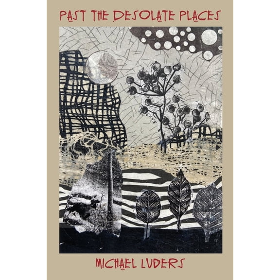 Past the Desolate Places, (Paperback)