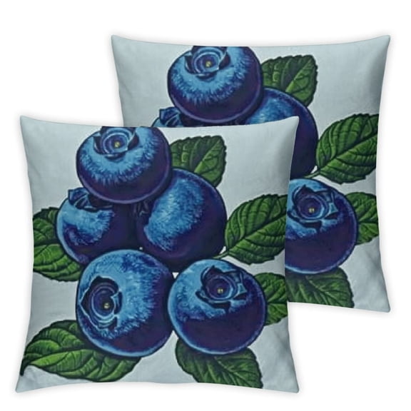 Vintage Blue Decorative Throw Pillow Case PackRetro Style Hand Drawn Art of Blueberry Fruit with Leaves, Cushion Cover for Couch Living Room Car, Pale Blue Navy Blue