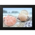 thumbnail image 2 of Blaustein, Alan 18x13 Black Modern Framed Museum Art Print Titled - Crescent Beach Shells 10, 2 of 5