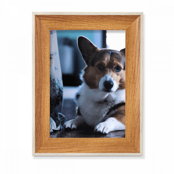 corgi dog pet animal lly picture desktop wooden photo frame display picture art painting multiple sets