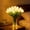 White, variant on Radiant Romantic Tulip Light 15PCS LED Tulip Bouquet Lamp, Twinkling Artificial Flowers Night Light for Bedroom Bedside Decor, Romantic Gift