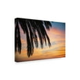 thumbnail image 2 of Trademark Fine Art 'Sunset Palm I' Canvas Art by Laura Marshall, 2 of 4