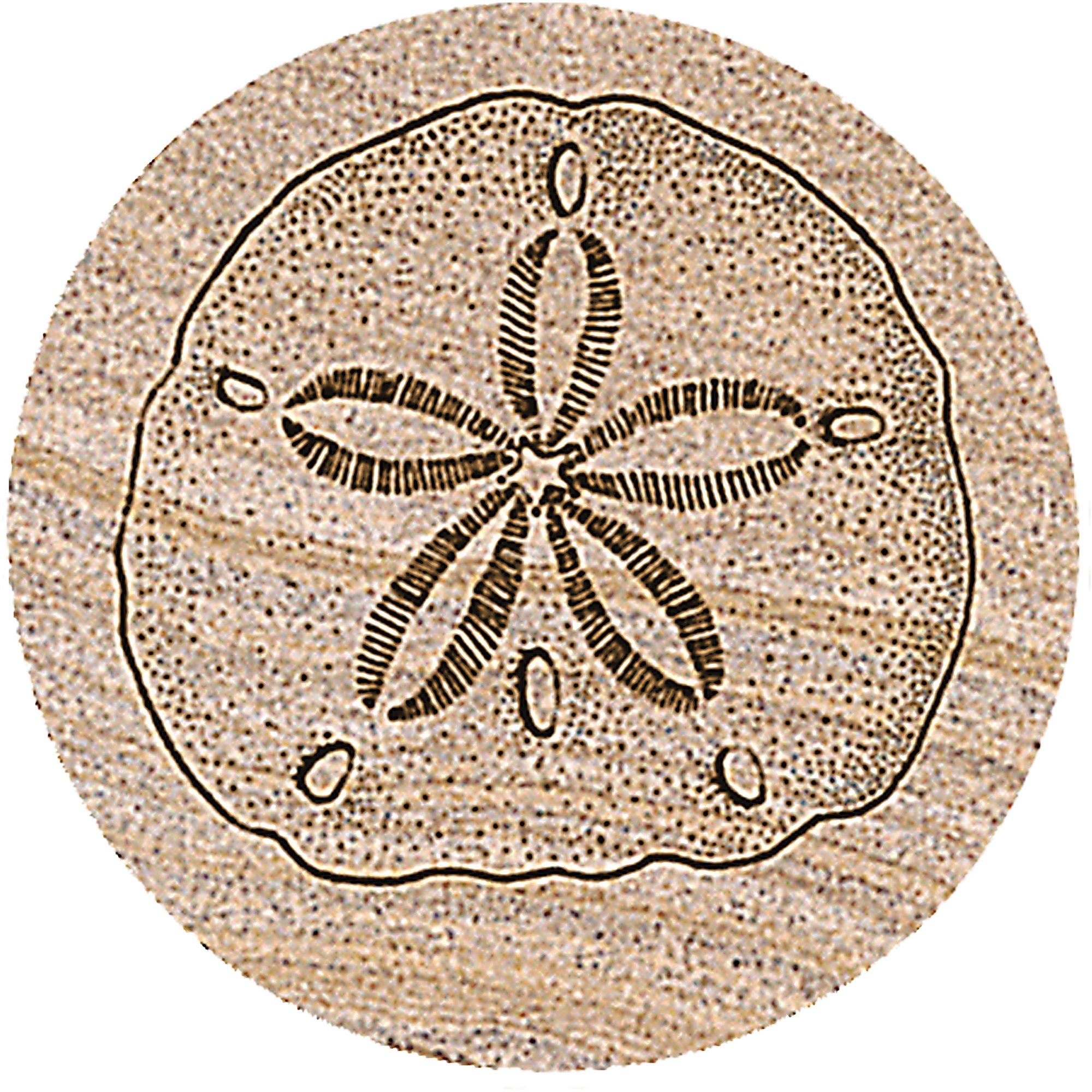 Thirstystone Drink Coasters Set, Sand Dollar